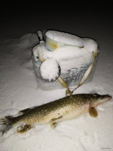 IMG_20210130_042048.jpg