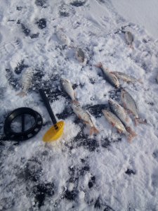 IMG_20210130_114016.jpg