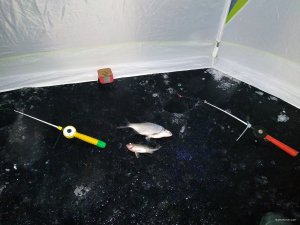 IMG_20210129_174543.jpg