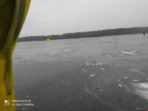 16120797391705965066505001399805.jpg