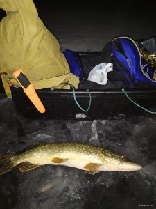 IMG_20210202_184846.jpg