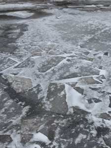 20210206_162136.jpg