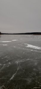 20210208_131848.jpg