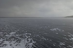 IMG_20210207_160510.jpg