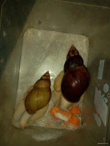 20210213_175041.jpg