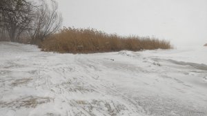 IMG_20210213_151436.jpg