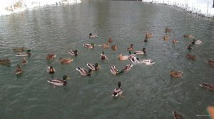 IMG_20210214_125046.jpg