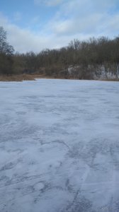 IMG_20210214_142609.jpg