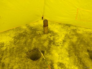 IMG_20210214_083609.jpg