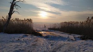 IMG_20210220_072645.jpg