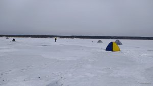 IMG_20210220_142315.jpg