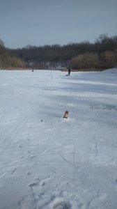 IMG_20210220_122026.jpg