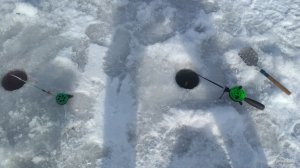 IMG_20210220_134648.jpg