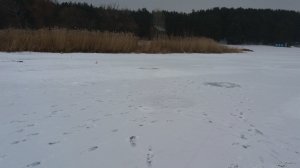 20210221_121432.jpg