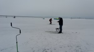 20210221_114707.jpg