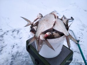IMG_20210221_164403.jpg