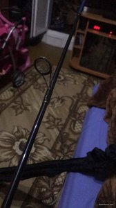 31F11608-893F-4F3D-BDEB-2DA746AF3256.jpeg