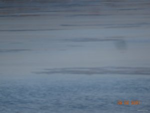DSC07766.JPG