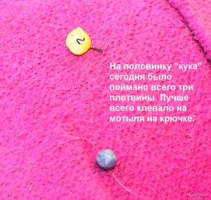 IMG_5138.JPG