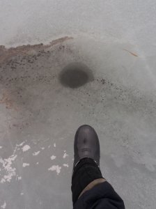 20210228_115756.jpg