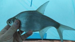IMG_20210301_095016.jpg