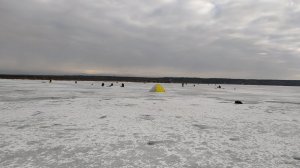 IMG_20210301_081014.jpg