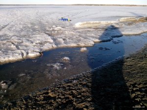 IMG_20210303_155728_sm.jpg