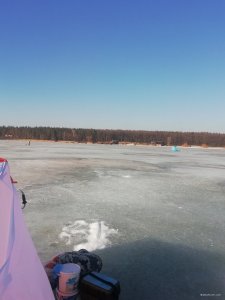 IMG_20210304_141512.jpg
