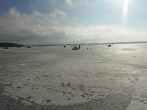 IMG_20210304_092754.jpg