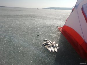 IMG_20210304_141431.jpg