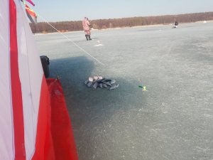 IMG_20210304_141447.jpg