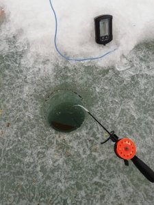 IMG_20210304_083736.jpg
