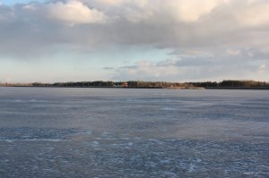 IMG_5185.JPG