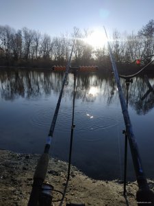 IMG_20210307_070718.jpg