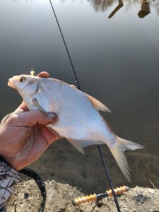 IMG_20210307_071253.jpg