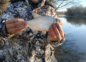 IMG_20210307_102643.jpg