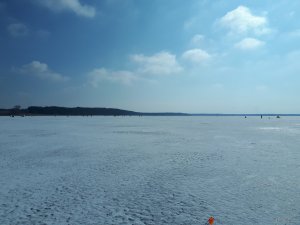 20210311_100100.jpg