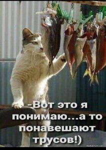 IMG_20210314_085457.jpg