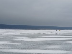 IMG_20210314_094037.jpg
