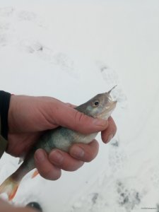 IMG_20210314_093425.jpg