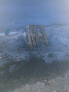 IMG_20210316_052212.jpg