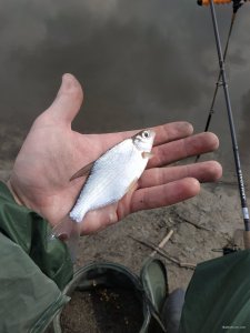 IMG_20210320_105942.jpg