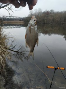 IMG_20210320_161057.jpg