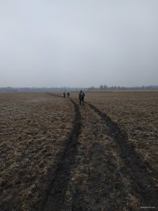 IMG_20210320_081213.jpg