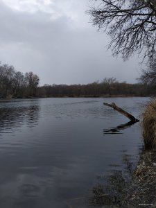 IMG_20210320_143301.jpg