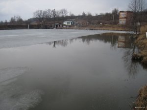 IMG_4941.JPG