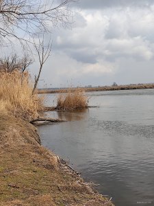 IMG_20210320_133716.jpg