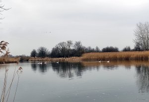 IMG_20210320_095718.jpg