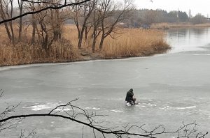 Аппендикс на Донце .jpg
