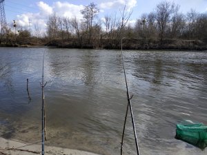 IMG_20210321_133407.jpg